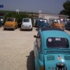 Marsala 2009 (145)